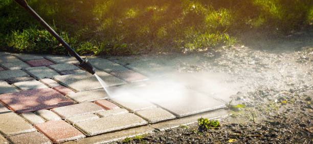 Best House Exterior Washing  in Bronte, TX